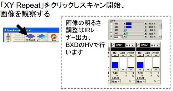 ASW_Fig2.jpg