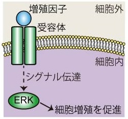 図2